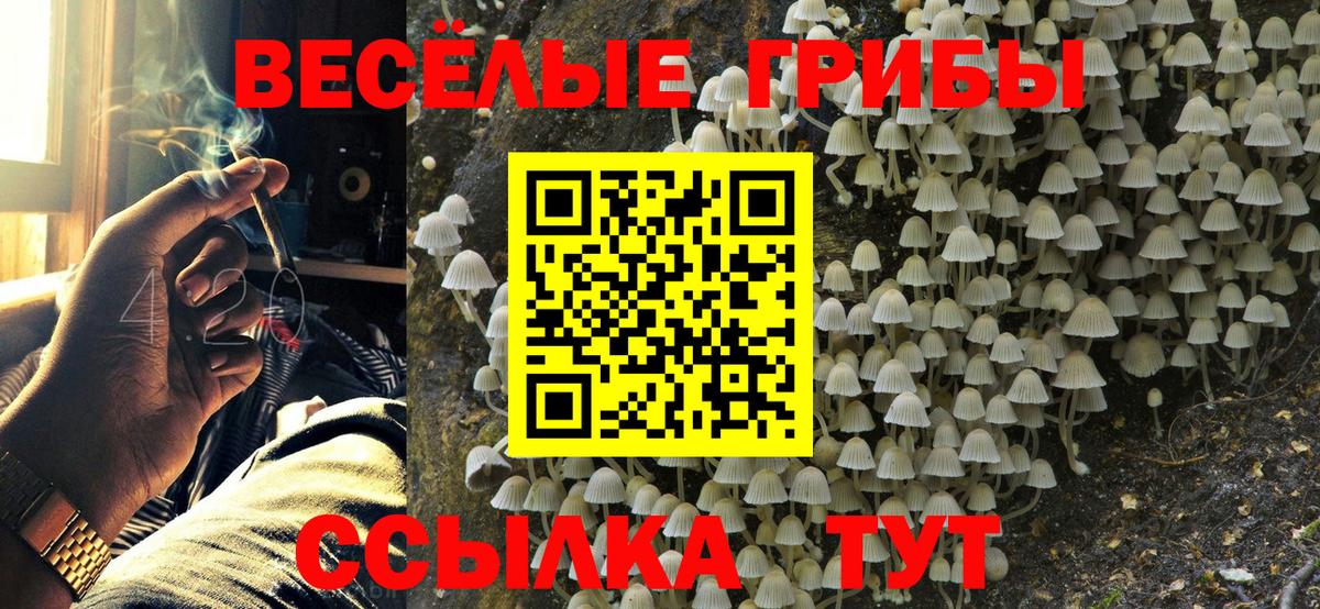 Галлюциногенные грибы мухоморы Мирный